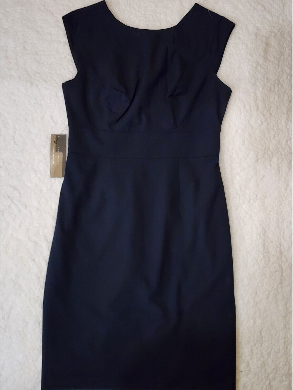 The Limited NWT Womens Size 6P Tall Navy Blue Sleeveless Round Neck Lined Dress